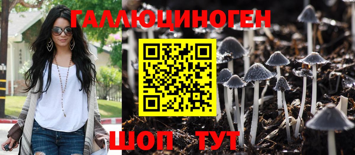 Галлюциногенные грибы Psilocybe Феодосия