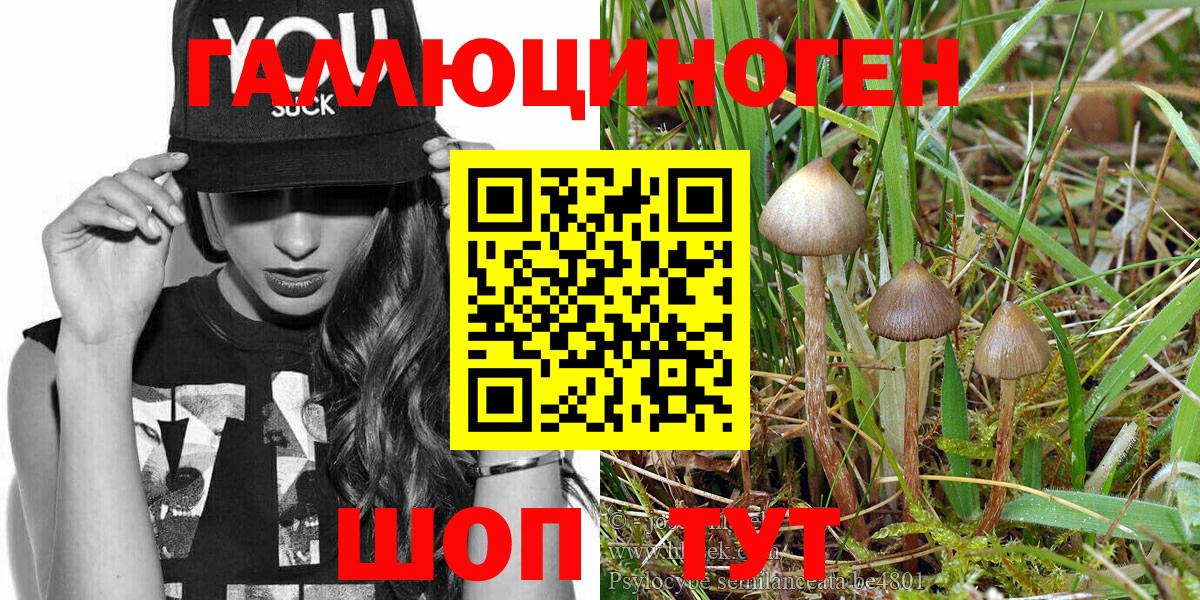 Феодосия  Псилоцибиновые грибы Psilocybine cubensis  Вход с VPN 